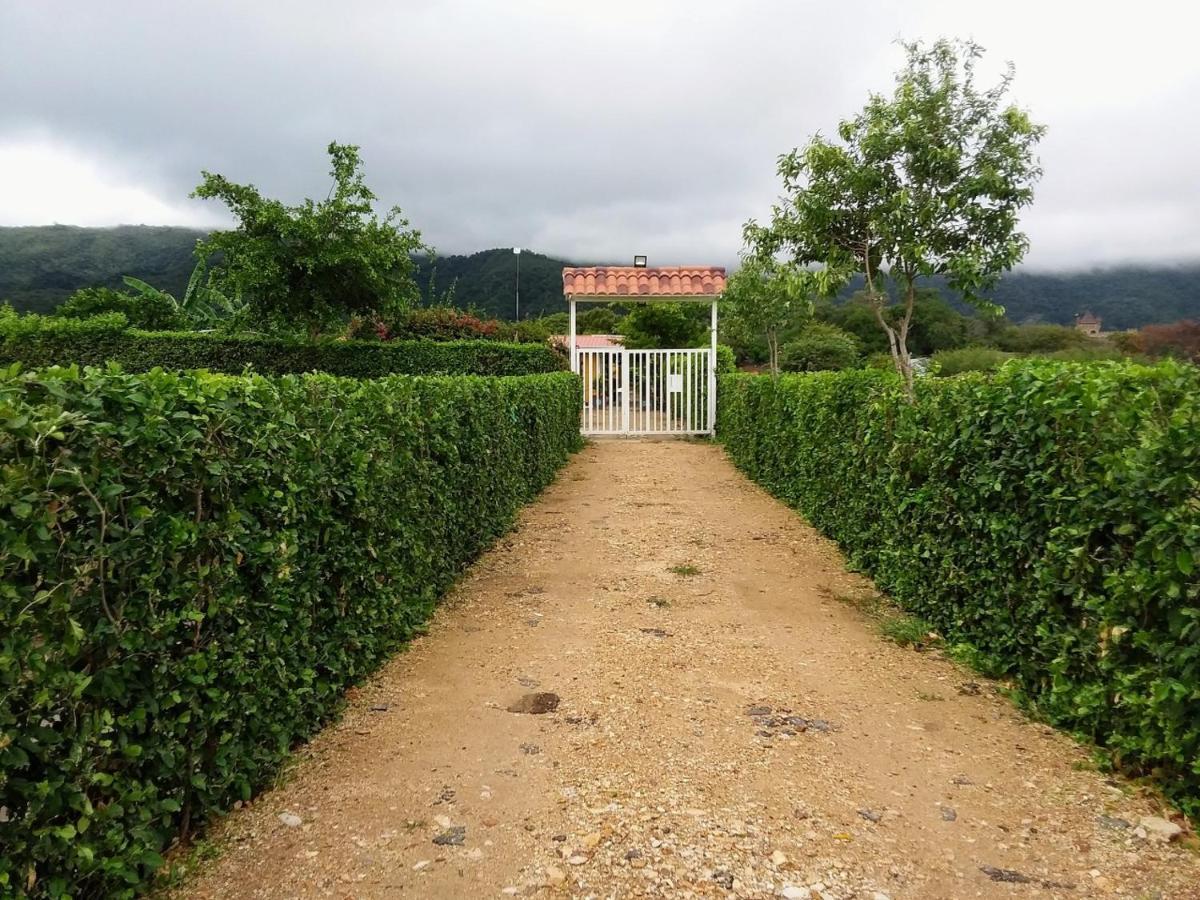 Bed and Breakfast C&H Casa Campestre El Oasis Ricaurte Girardot Экстерьер фото