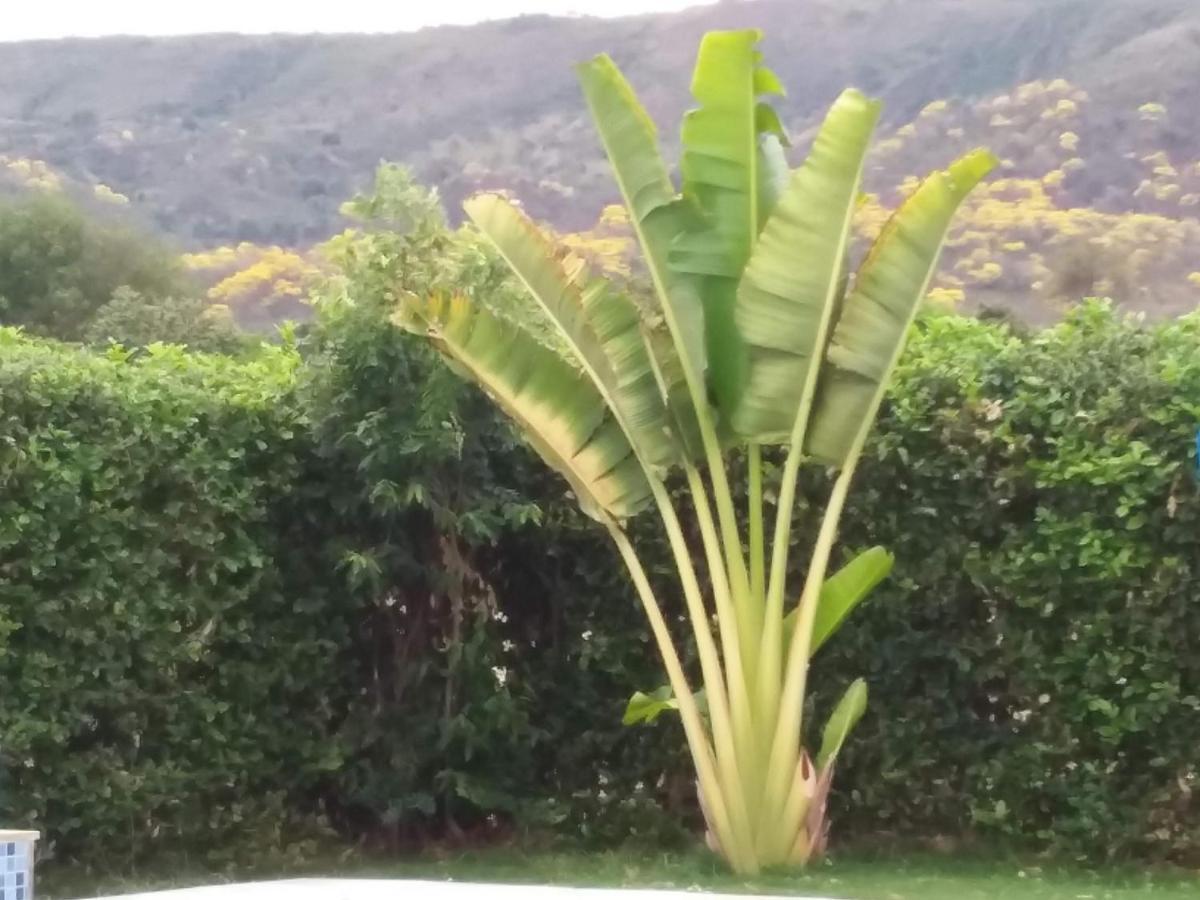 Bed and Breakfast C&H Casa Campestre El Oasis Ricaurte Girardot Экстерьер фото